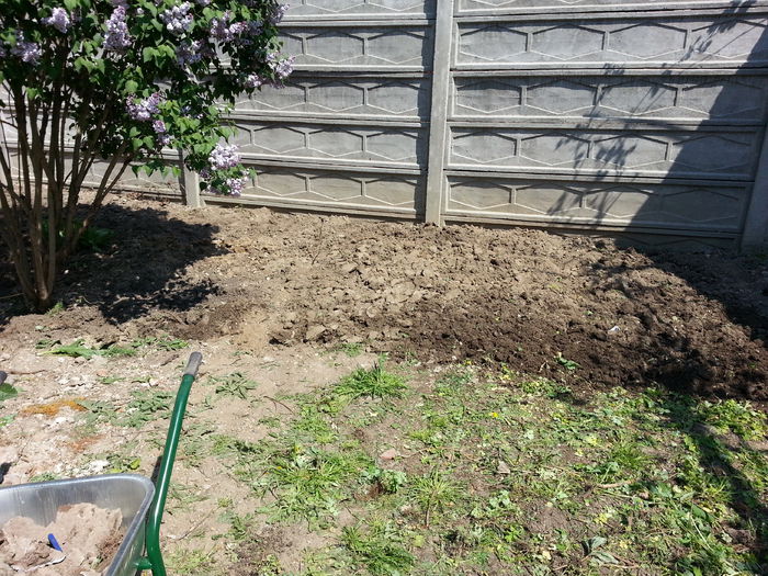20150425_131057 - gradina 2015 vol 1