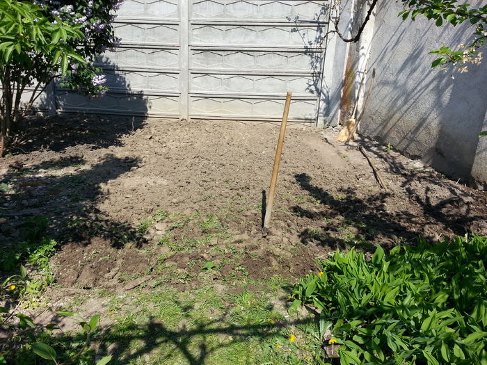 20150425_151605 - gradina 2015 vol 1