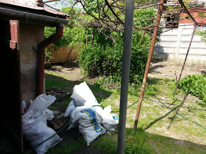 20150428_152459 - gradina 2015 vol 1