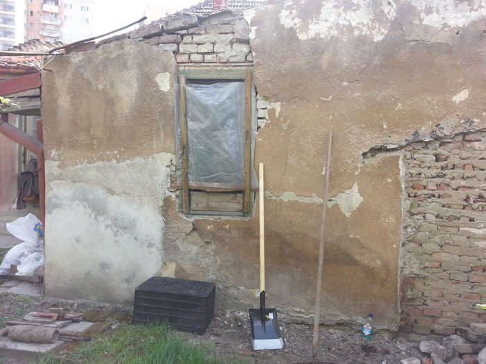 20150428_152655 - gradina 2015 vol 1