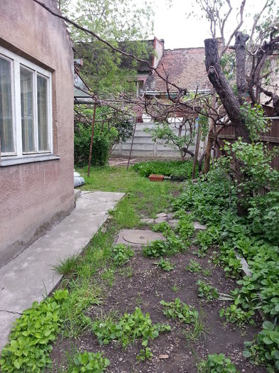 20150429_172240 - gradina 2015 vol 1