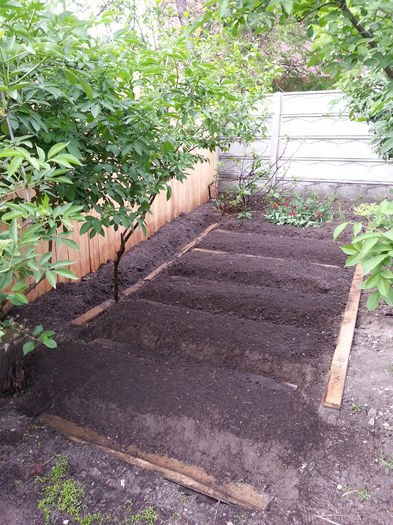 20150501_183710 - gradina 2015 vol 1