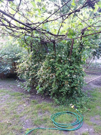 20150602_205053
