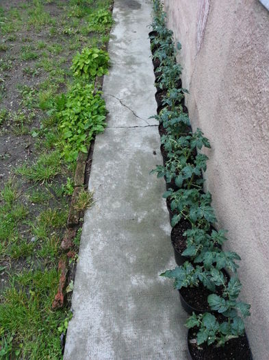 20150602_205307