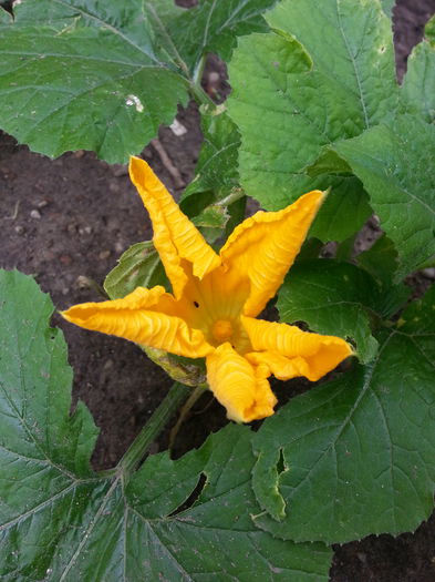 20150604_104215
