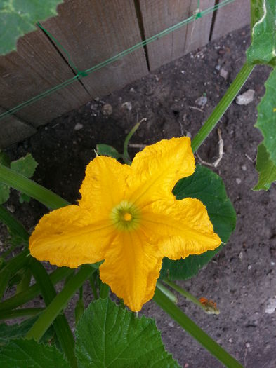 20150604_104245