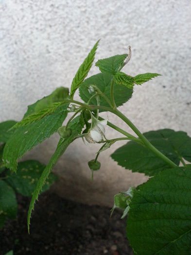 20150605_210642