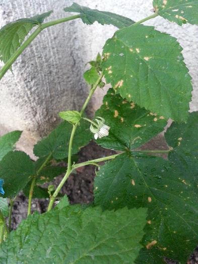 20150605_210647