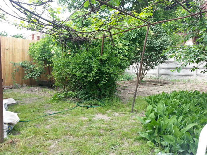 20150510_155631 - gradina 2015 vol 1