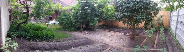 20150513_193221 - gradina 2015 vol 1