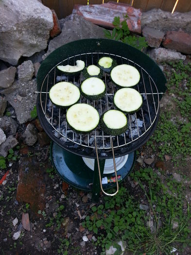 20150516_162957 - gradina 2015 vol 1