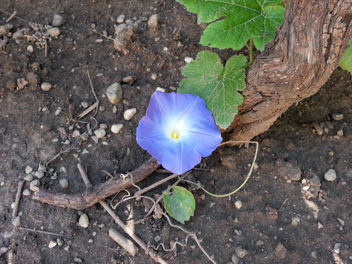 20150609_101206