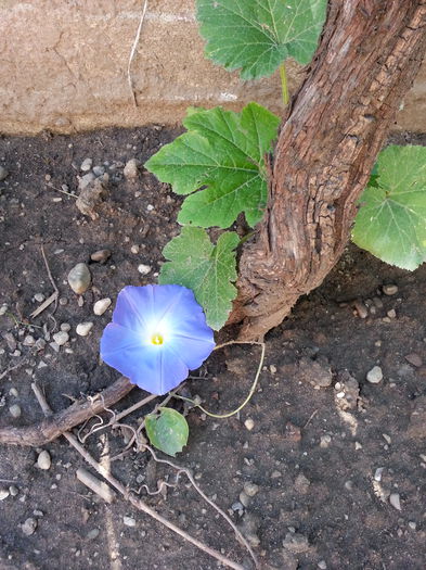 20150609_101210