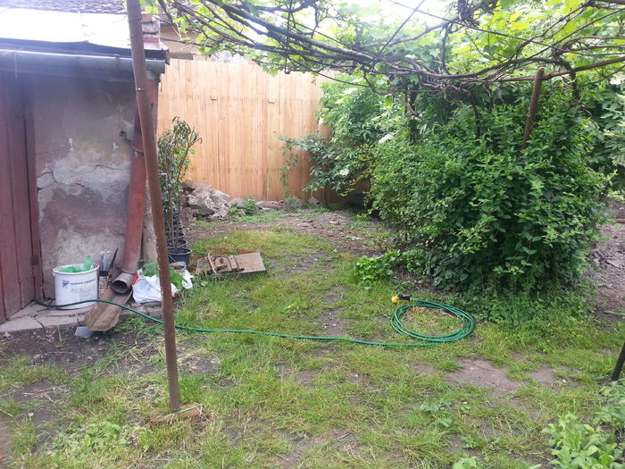 20150517_172608 - gradina 2015 vol 1