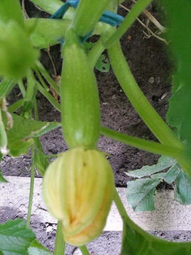 20150610_200537
