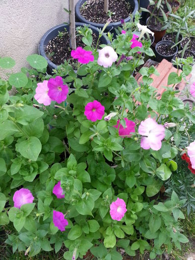 20150610_200757