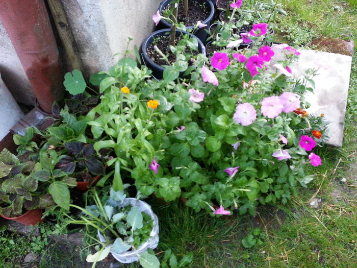 20150614_210618