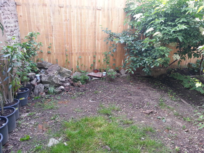 20150524_185456 - gradina 2015 vol 1