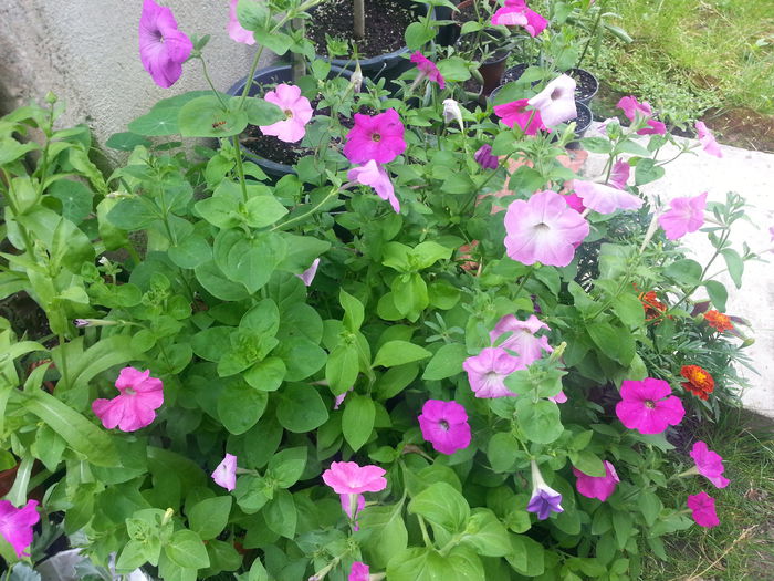 20150616_142627