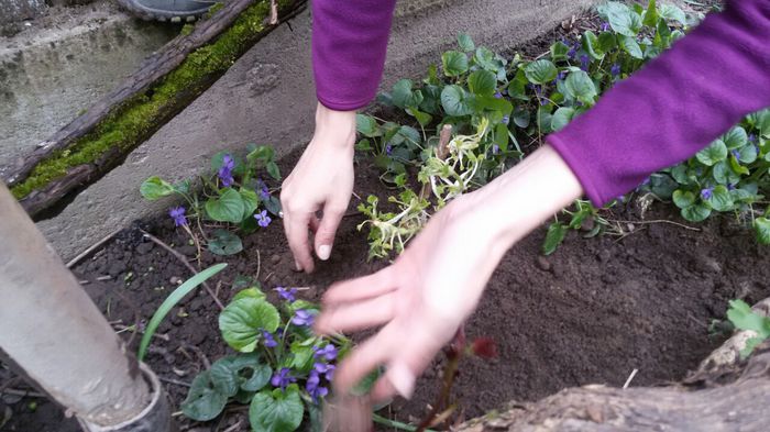 image-7e231c2fa688dfee1d2f060447534a9ad23cf0c69a54b4352645c67514b92330-V