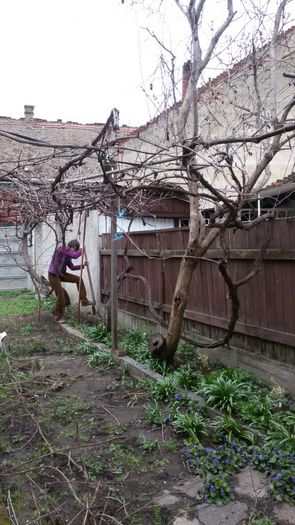 image-8badbfcbc629ad9affce416dc4f285230b7b3dafa6661d204766044093bf656c-V