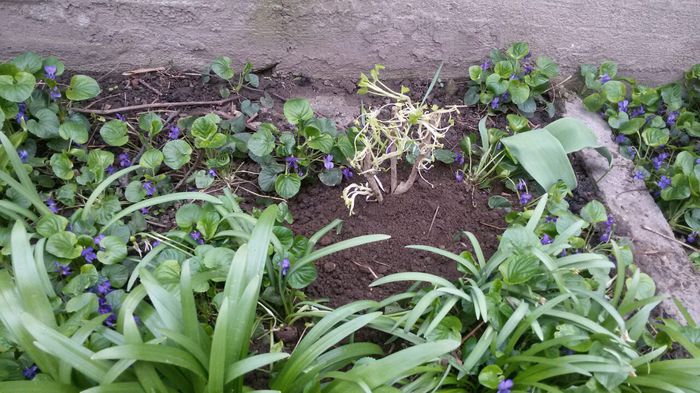 image-8cda9a712030ee95a8c0b9ec9d76e4c8c0f7c6528e2b8f5de0c9d98117b8f181-V