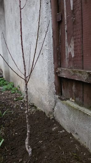 image-24fb7ab79e1d68cdb7d3b31e79e7f449a98d5693fb02e11d9e147f41fba98e28-V