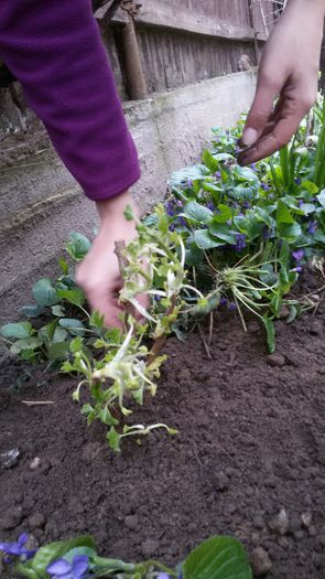 image-57fa495a18840b5f6d415635374effd97ddf9a848cdbde5fe3828af95657e72a-V