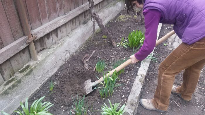 image-65c3bcd2126a2871c0c8a7435d691041fee993e53c8c1783a6719a622a949dba-V