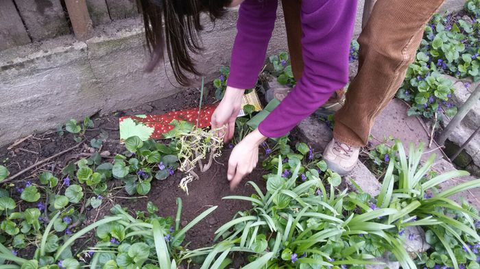 image-87ae937dd6fbd77f1dc49b9c3bc897c039e439f8e5d691d30936a46300ca5af8-V