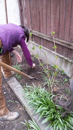 image-273f29a4e1533d9053fa350195d74e6e80cc8ce3d433c9669d9bb09c977bcb24-V