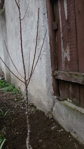 image-0532ff05a64537c0728e9e0d4f042b5ee057b4cb7aa4c2c57e2e283b60621d8d-V