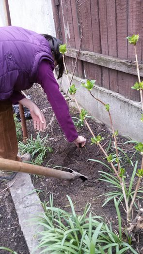 image-637d7f2091ab673753ef60366bc734ac10c00d11b1fe69a98701f163728a62fe-V