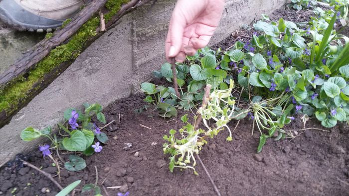 image-b31892b27684227a90d52102a3e088e6f776702cb5f6a1029e5378db9d6b8c65-V