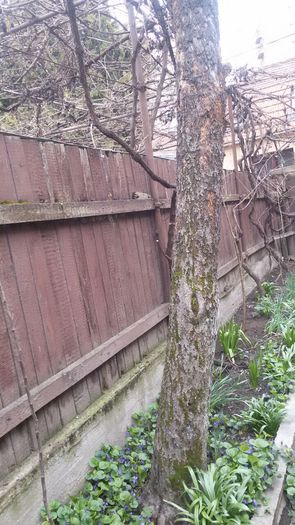 image-bb52000efc487401ffe0babdd9d6017e86a92a5ec2d8d55819fcf98154020146-V