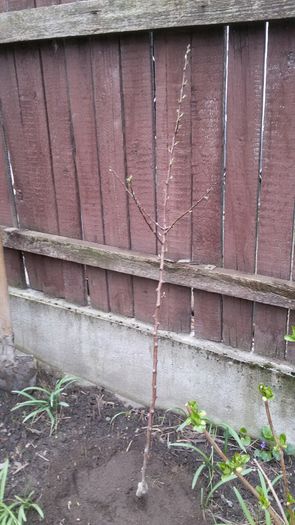 image-bf98dc38610b1b48aa3bd7d63c83d3e506a9302d6dabea13d674571295164c2c-V