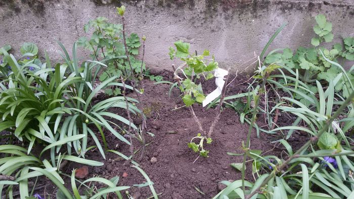 image-d0da40c480ce497ccb954cf327dcb68ed22ea16be3b463a26c4665ca248ffe00-V