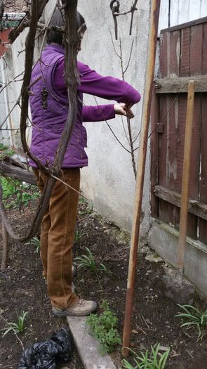 image-d191ea912684d9f02547a1cbae4f5a00be0a13cec163dca2ea559f81aed457cf-V