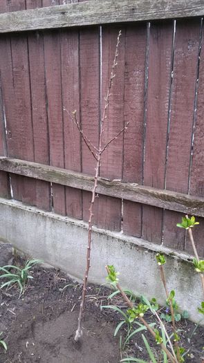 image-e100469f511c700419a12617b568353c02722971f4c8798d1250ef6ac129c577-V