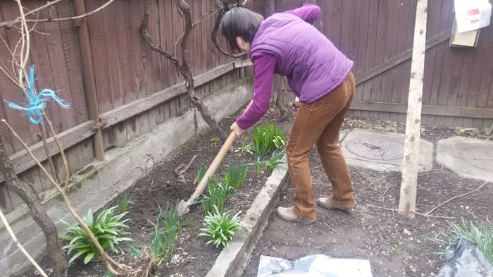 image-e7559605d2068fda950a06d039b0c244af81c05ca2cb9308cec9faa58cf79ee5-V - gradina 2015 vol 1