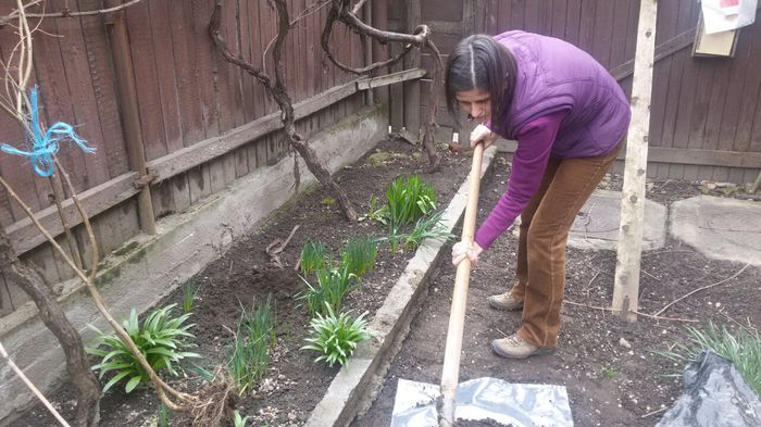 image-f865bec0e47ccc4bda87b2010f3854c4dcf4eb14282748c9a5f37a4c8762b9bd-V