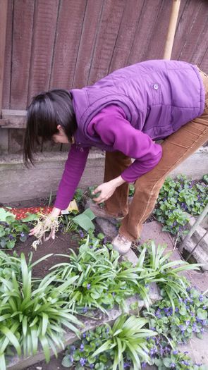 image-fa436a21dfcc76efd15ddd058fb79363f455cc67fdd8e2a568464705ad122725-V