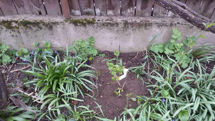 image-fadbcea5b9305f7d93b0c021142d9fce504a9f2ed17d157b10be7bdf5f29cee9-V