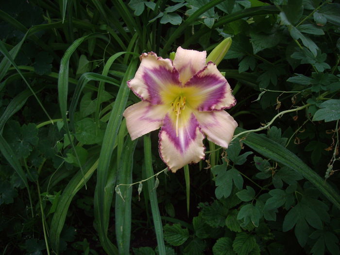 IMGP8692