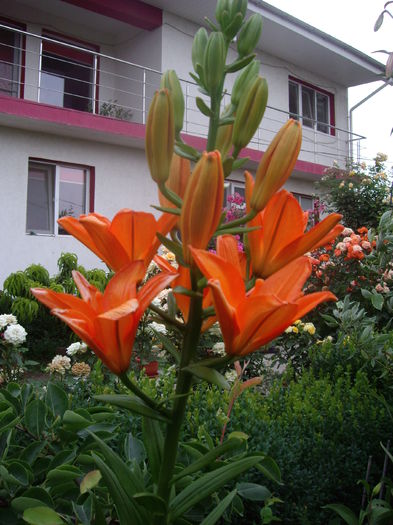 IMGP8694