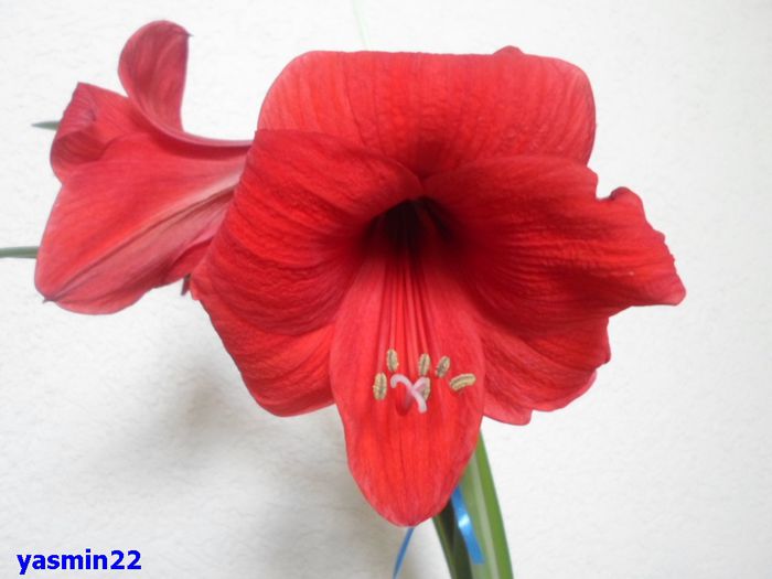 068 mai 2015