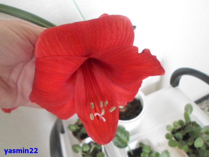070  mai 2015