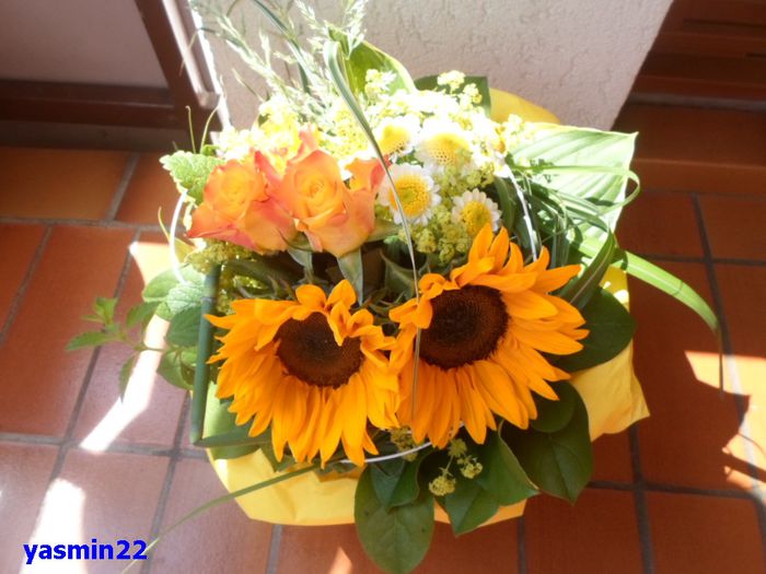 538  12 iun.2015 - Z-Buchete