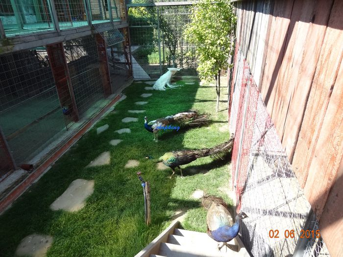 DSC00605