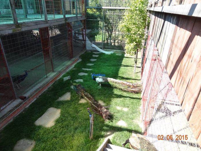 DSC00607